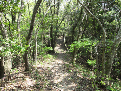 20140426hike (103)